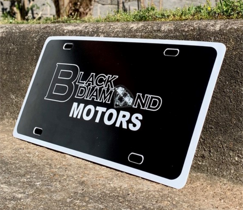30 Gauge License Plate Insert
