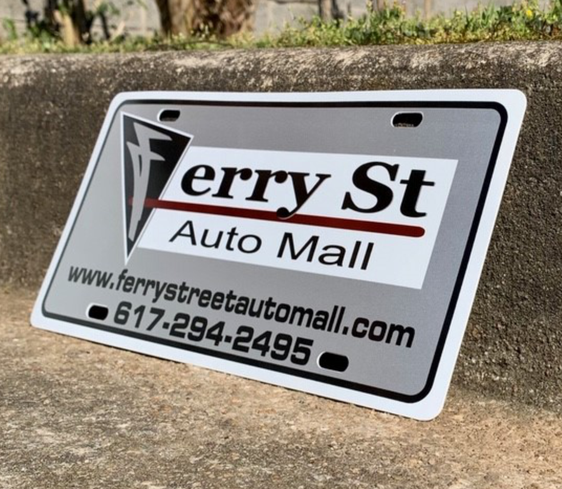 30 Gauge License Plate Insert - 2 Color