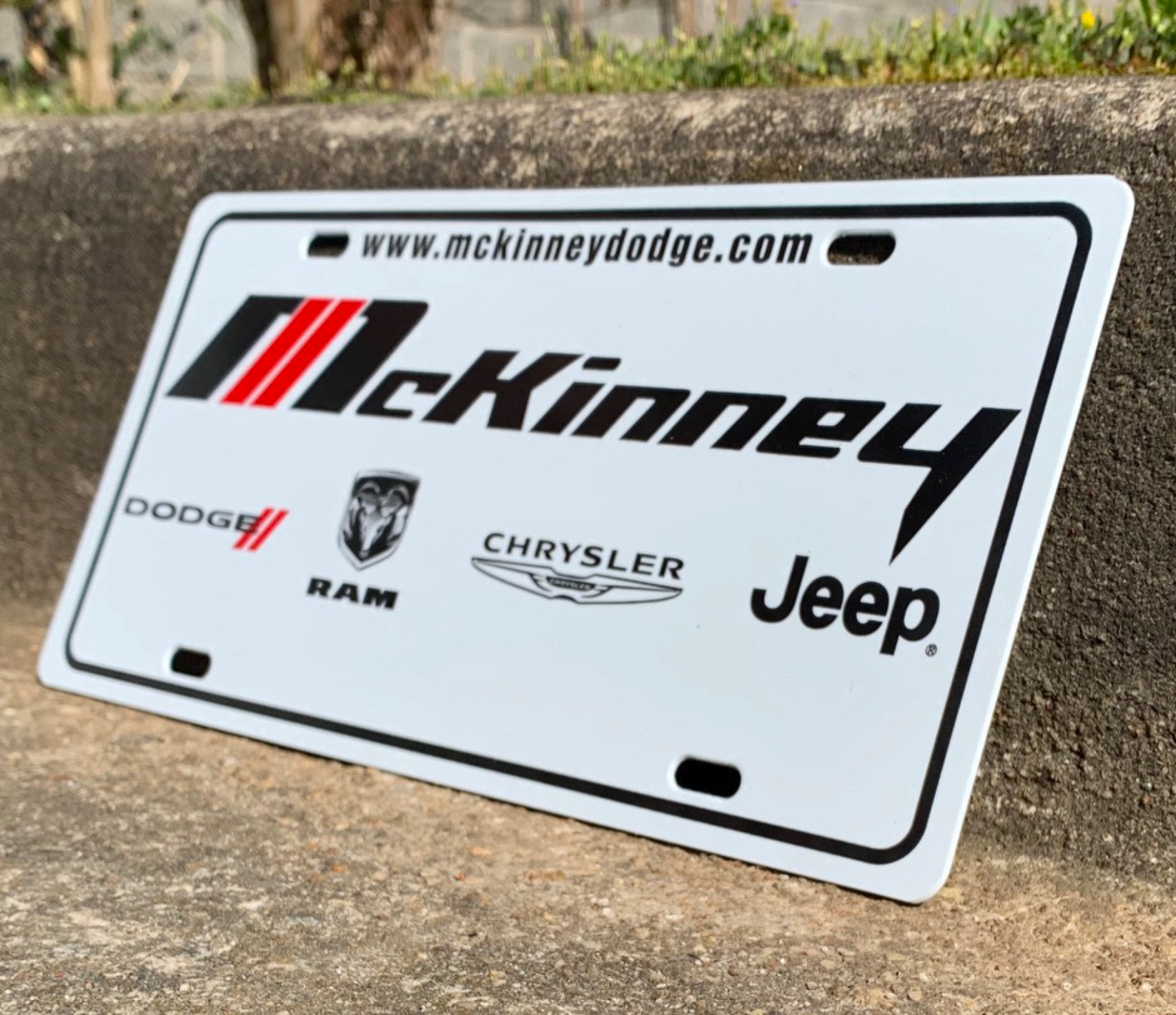 50 Gauge License Plate Inserts - 2 Color