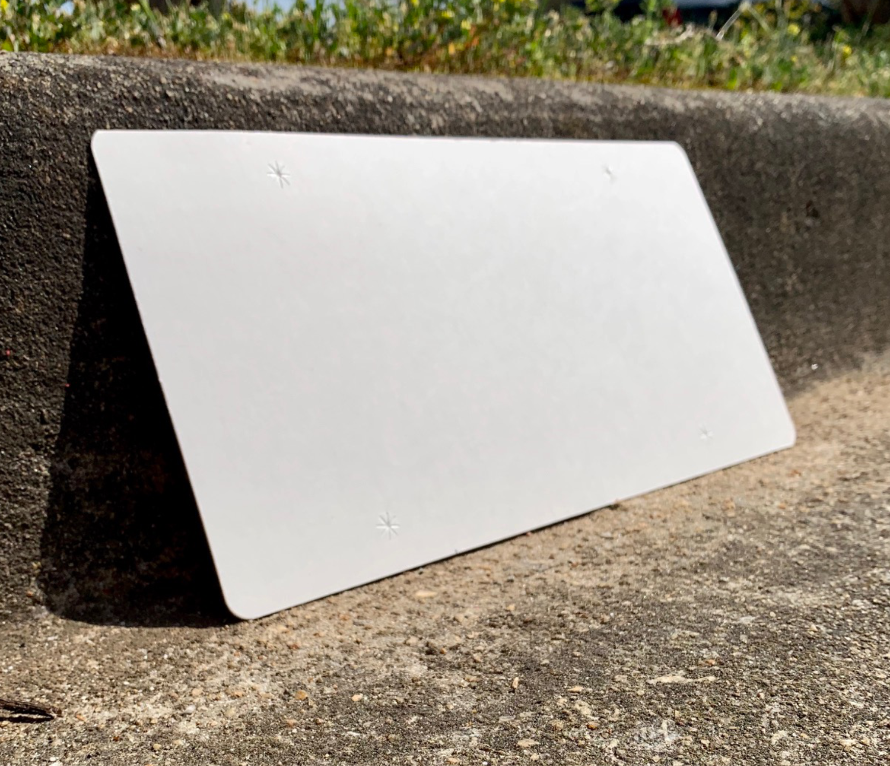 Blank License Plates